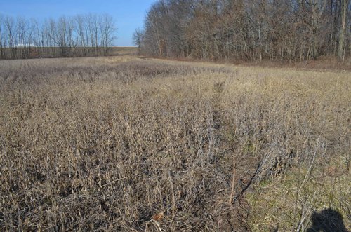 Property photo 31 - East Allen County - 55 Acre Land Auction
